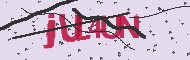 Captcha認証コード